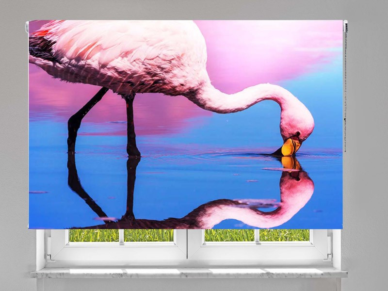 Estor enrollable FOTOGRAFIA flamingo