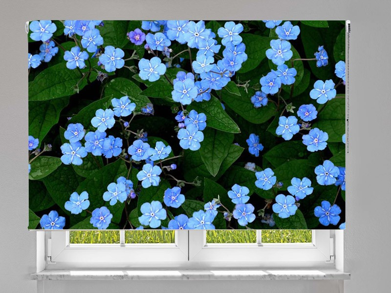 Estor enrollable FOTOGRAFIA flores azules