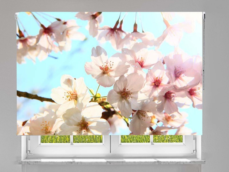 Estor enrollable FOTOGRAFIA blanca primavera