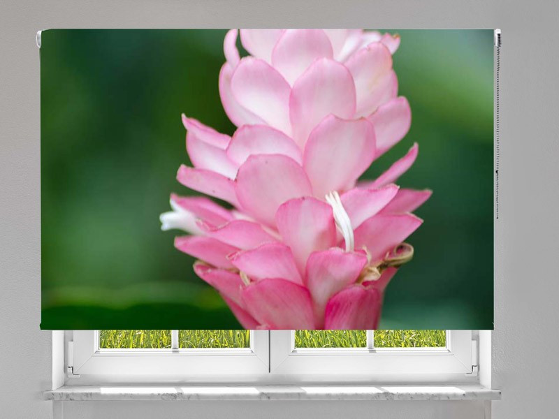Estor enrollable FOTOGRAFIA flor ginger