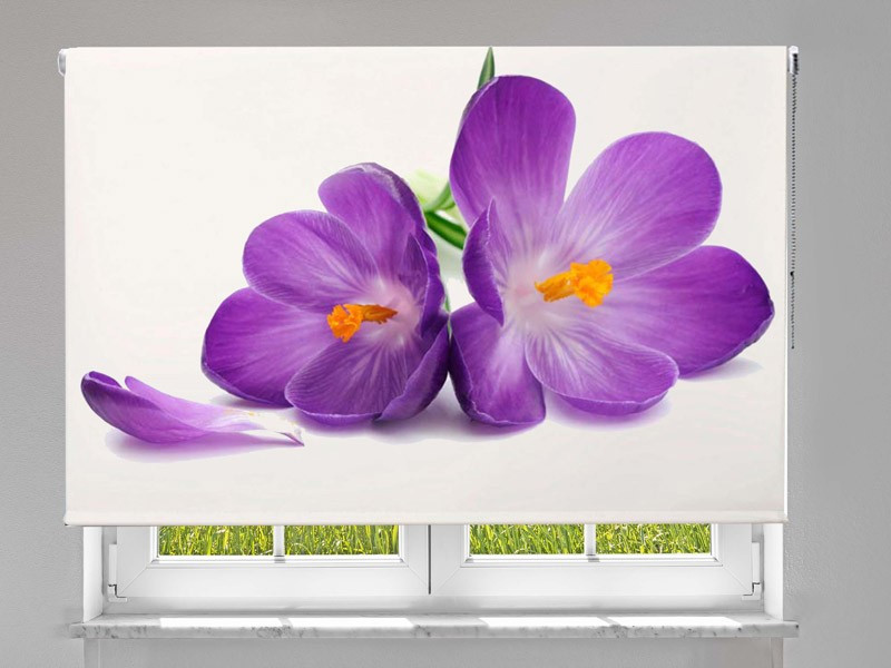 Estor enrollable FOTOGRAFIA flor violeta