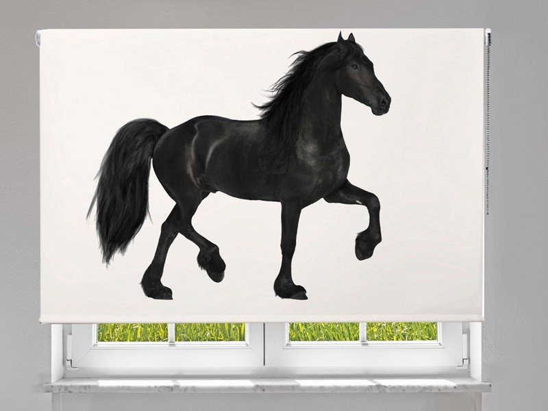 Estor enrollable FOTOGRAFIA caballo criollo