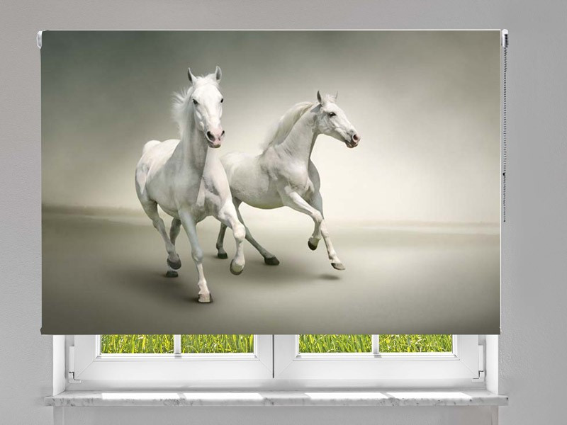 Estor enrollable FOTOGRAFIA caballos blancos