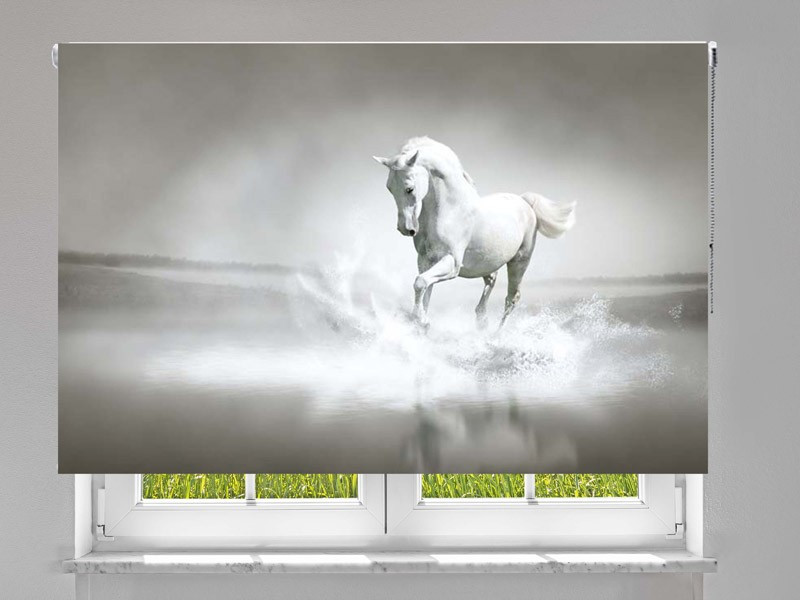 Estor enrollable FOTOGRAFIA caballo blanco