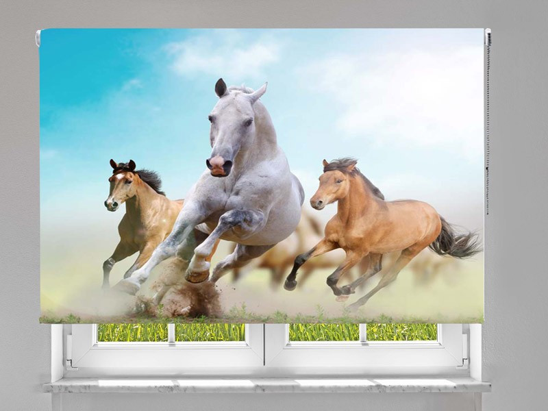 Estor enrollable FOTOGRAFIA cabalgando