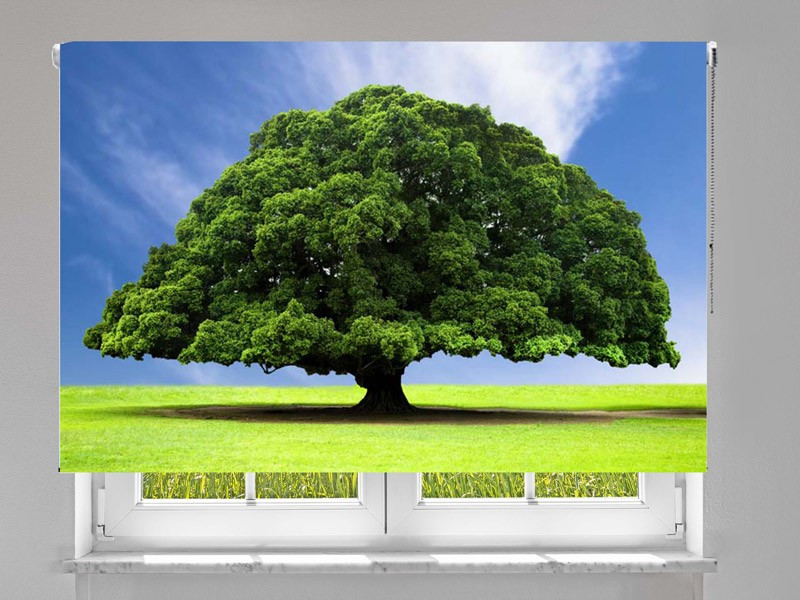 Estor enrollable FOTOGRAFIA arbol