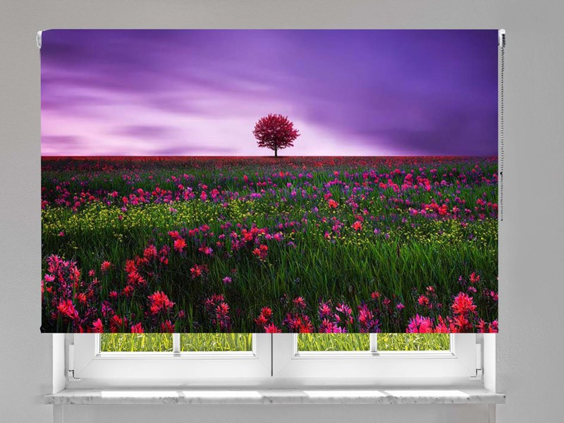 Estor enrollable FOTOGRAFIA bess hamiti