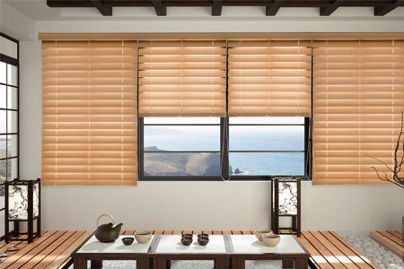 CORTINAS VENECIANAS