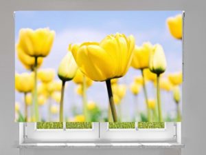 ESTORES ENROLLABLES PERSONALIZADOS CON TUS FOTOGRAFÍAS