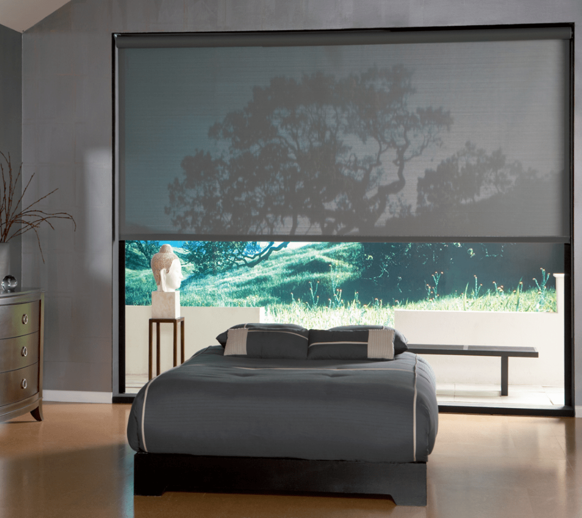 ESTORES SCREEN TRASPARENTES POR LA NOCHE